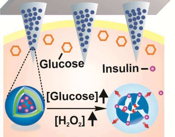 INSULIN