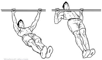 تمرين ظهر بدون وزن Inverted row