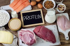 تناول البروتين يزيد الشبع 