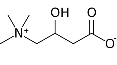 l-carnitine فوائد للنساء