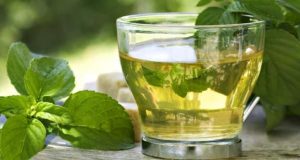 الشاي الأخضر من المشروبات المسموحة في الصيام المتقطع